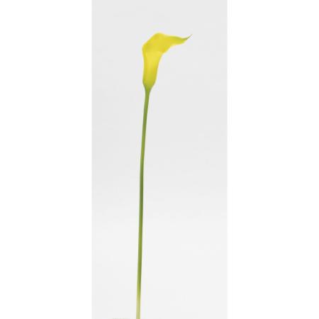 特価◎【造花】ビダヤコム/カラーリリー イエロー/V24113-004Y