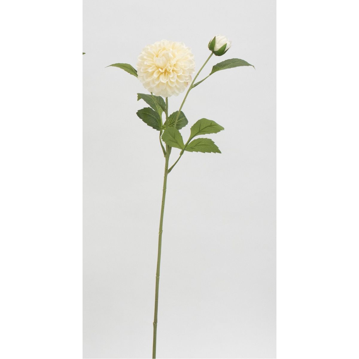特価◎【造花】ビダヤコム/チャームダリア ベージュ/V24136-013BEIGE