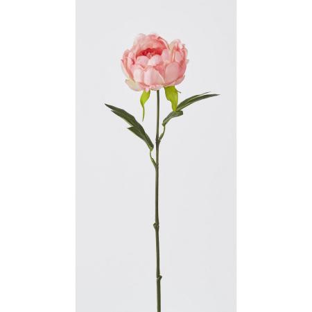 特価◎【造花】ビダヤコム/アロマピオニー コーラル/FD3368-067COR