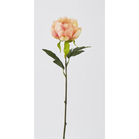 特価◎【造花】ビダヤコム/アロマピオニー ピーチ/FD3368-006PEA
