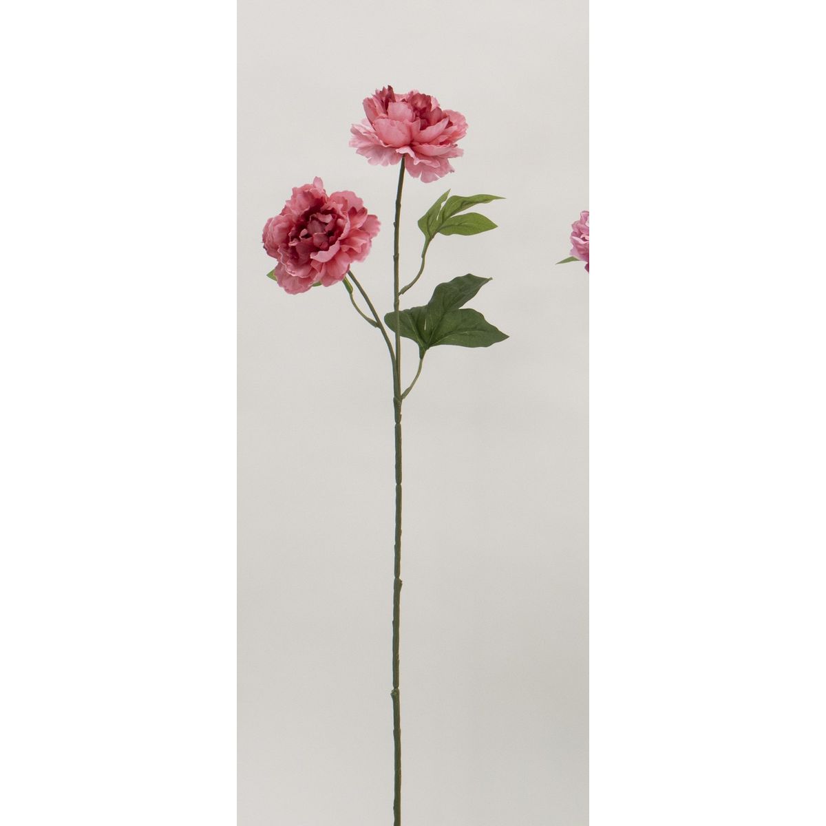 特価◎【造花】ビダヤコム/ピオニー ホット/ピンク/V22055-052HT/P