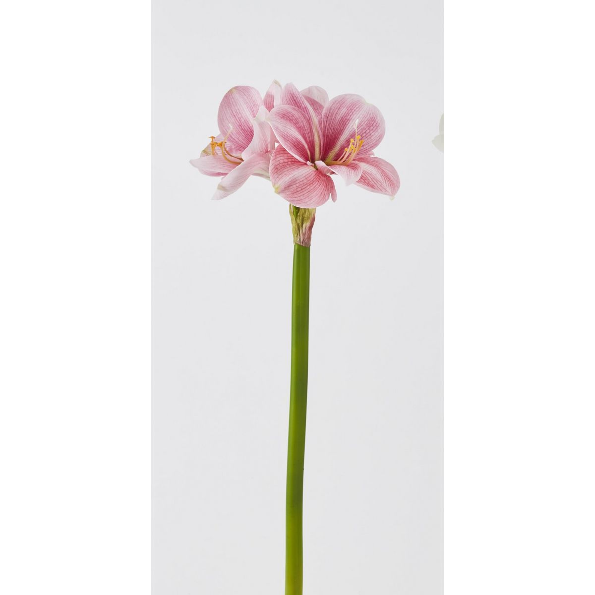 特価◎【造花】ビダヤコム/アマリリス ピンク/P4840-002P