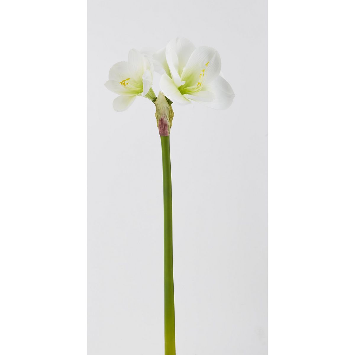 特価◎【造花】ビダヤコム/アマリリス ホワイト/P4840-001W