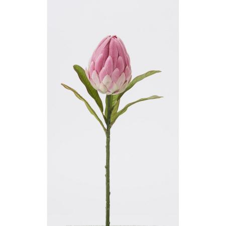 特価◎【造花】ビダヤコム/プロティア モーブ/P4817-042MAU