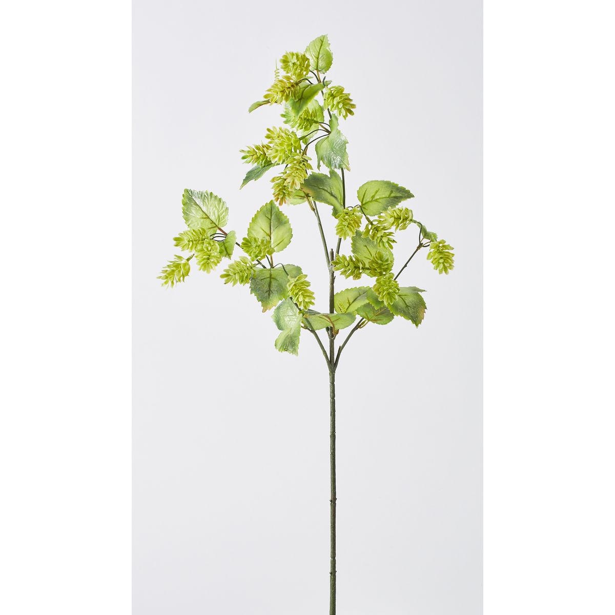 特価◎【造花】ビダヤコム/ホップブランチ グリーン/V22079-024G