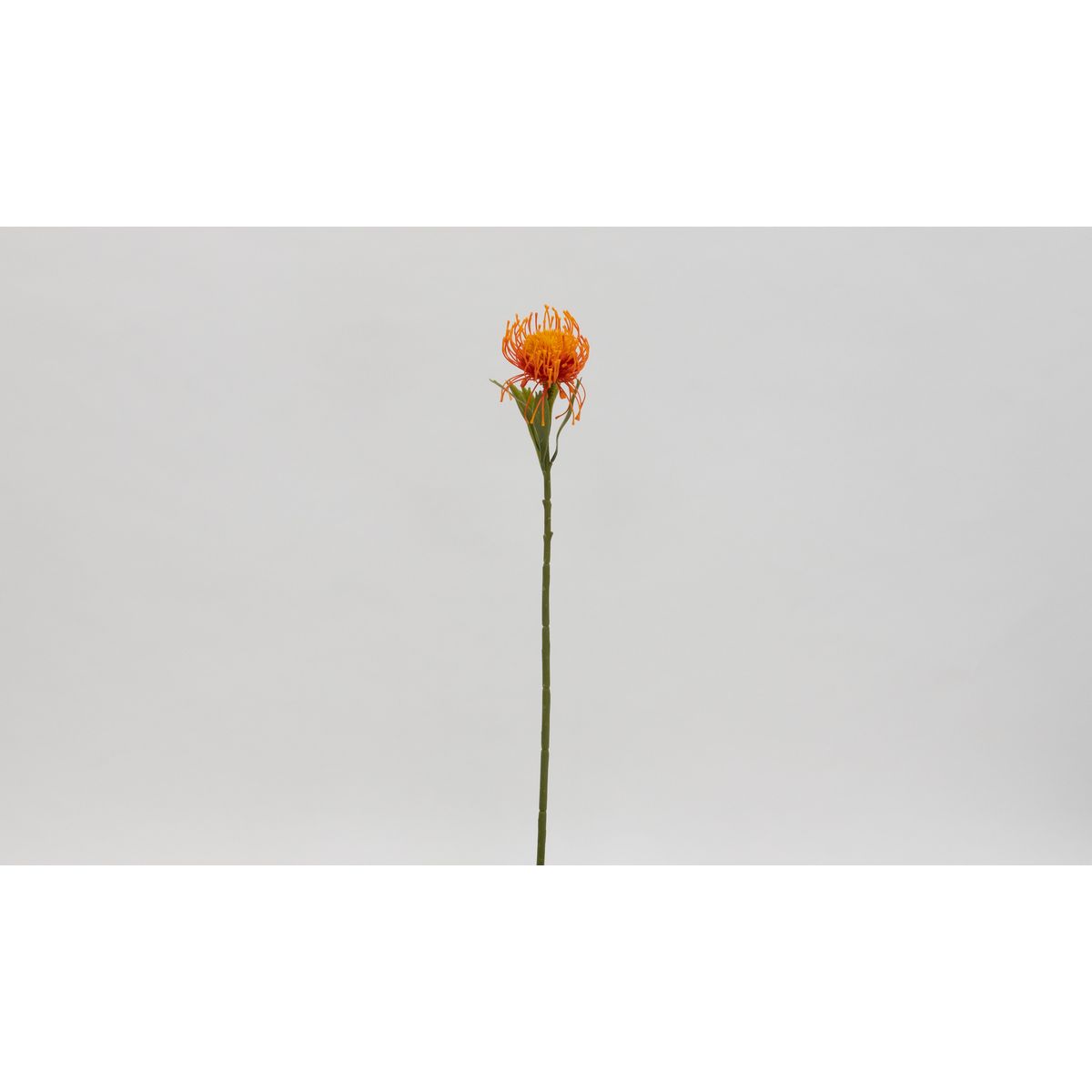 特価◎【造花】ビダヤコム/ピンクッション オレンジ/V23124-009O