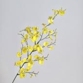 アウトレット◎即日★【造花】ビダヤコム/ミニダンシングオーキッド イエロー/F3834-004Y