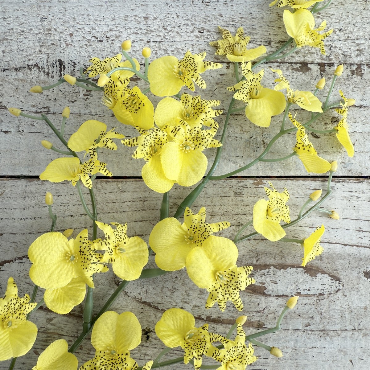 アウトレット◎即日★【造花】ビダヤコム/ミニダンシングオーキッド イエロー/F3834-004Y