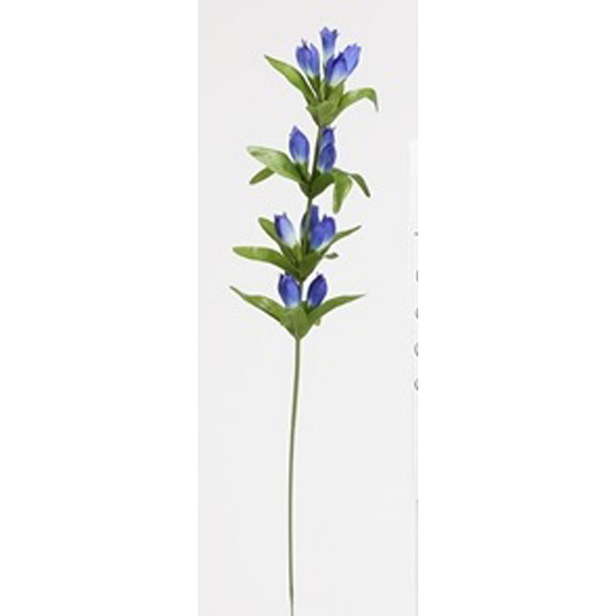 特価◎【造花】ビダヤコム/リンドウ ブルー/F3680-005B
