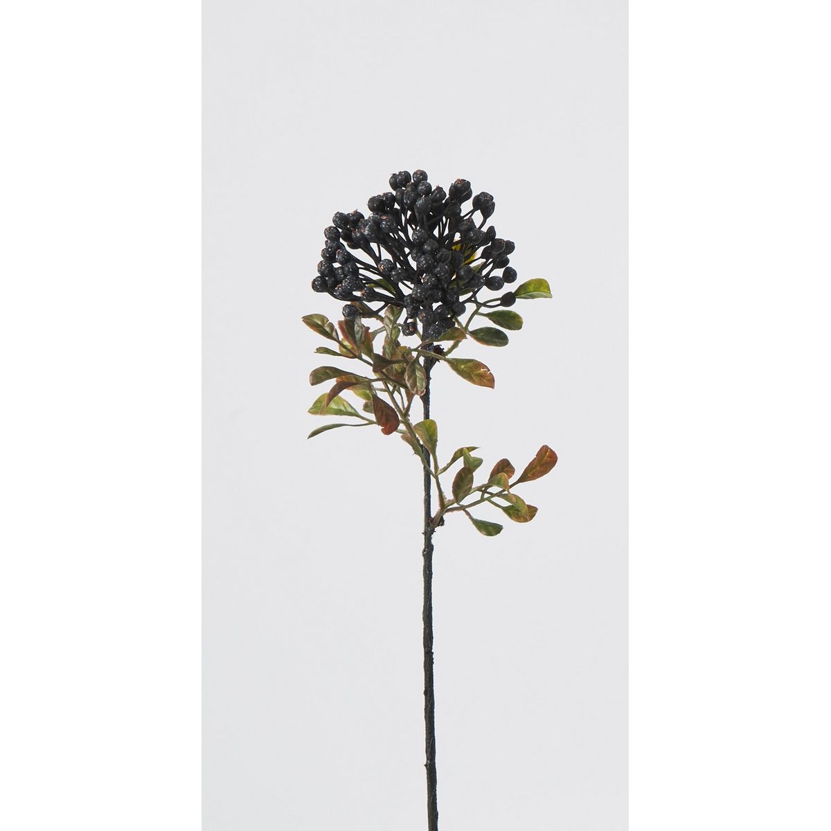 特価◎【造花】ビダヤコム/ニューラウンドベリー ブラック/Z0084-020BLK