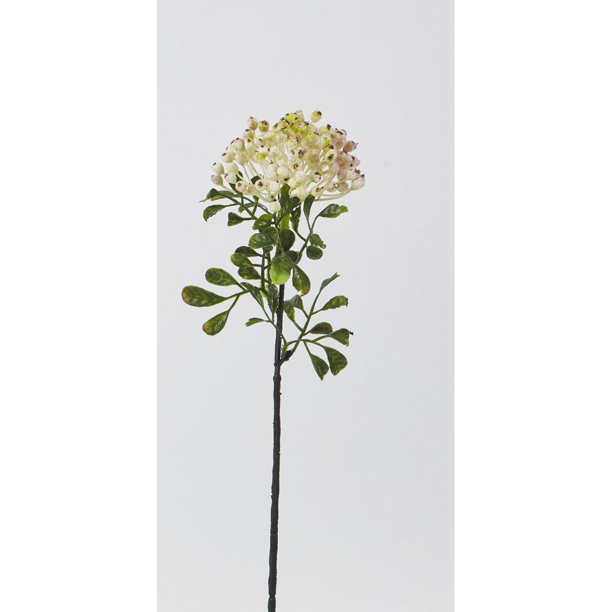 特価◎【造花】ビダヤコム/ニューラウンドベリー クリーム/Z0084-037C