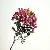 【造花】ビダヤコム/ニューラウンドベリー モーブ/Z0084-042MAU