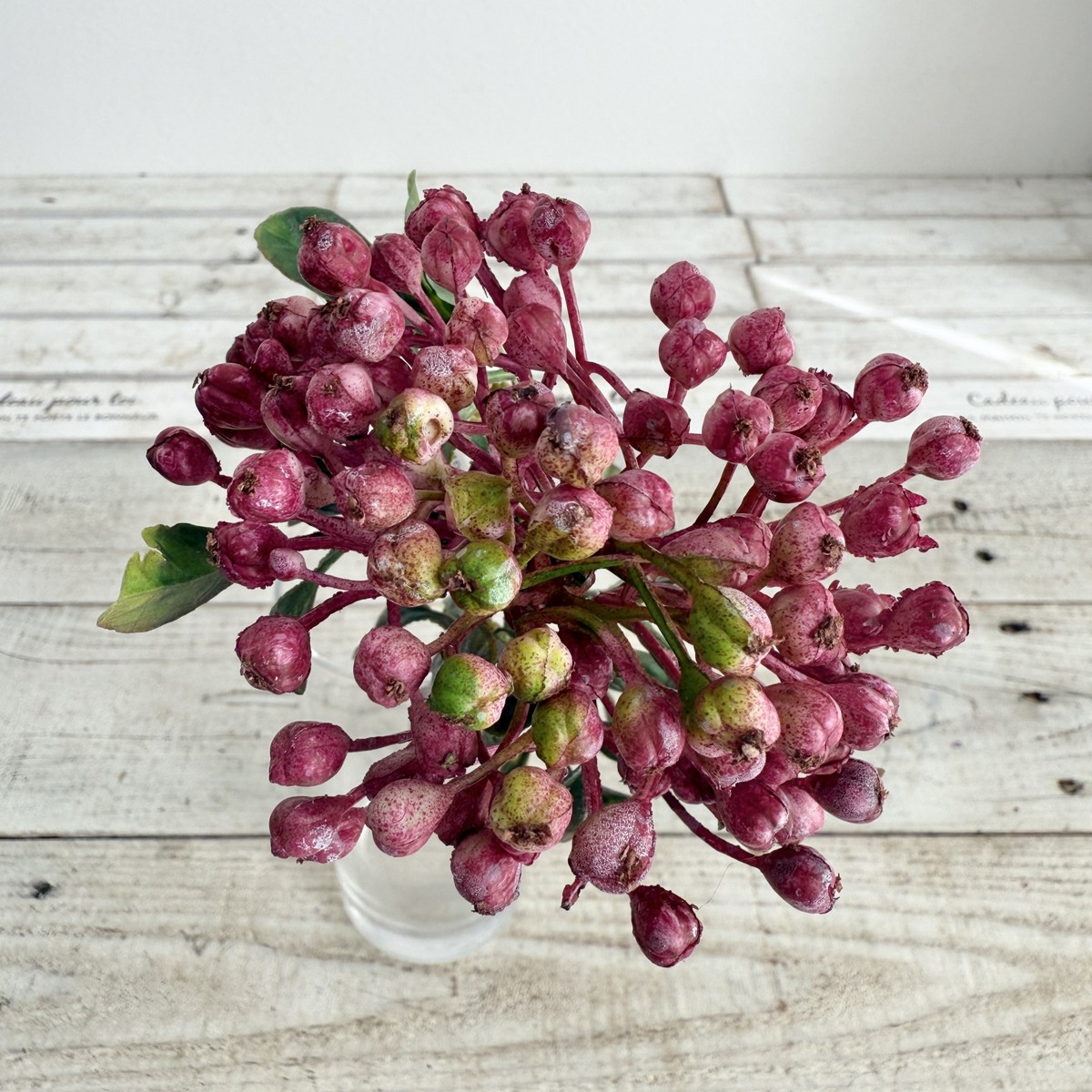 アウトレット◎即日★【造花】ビダヤコム/ニューラウンドベリー モーブ/Z0084-042MAU