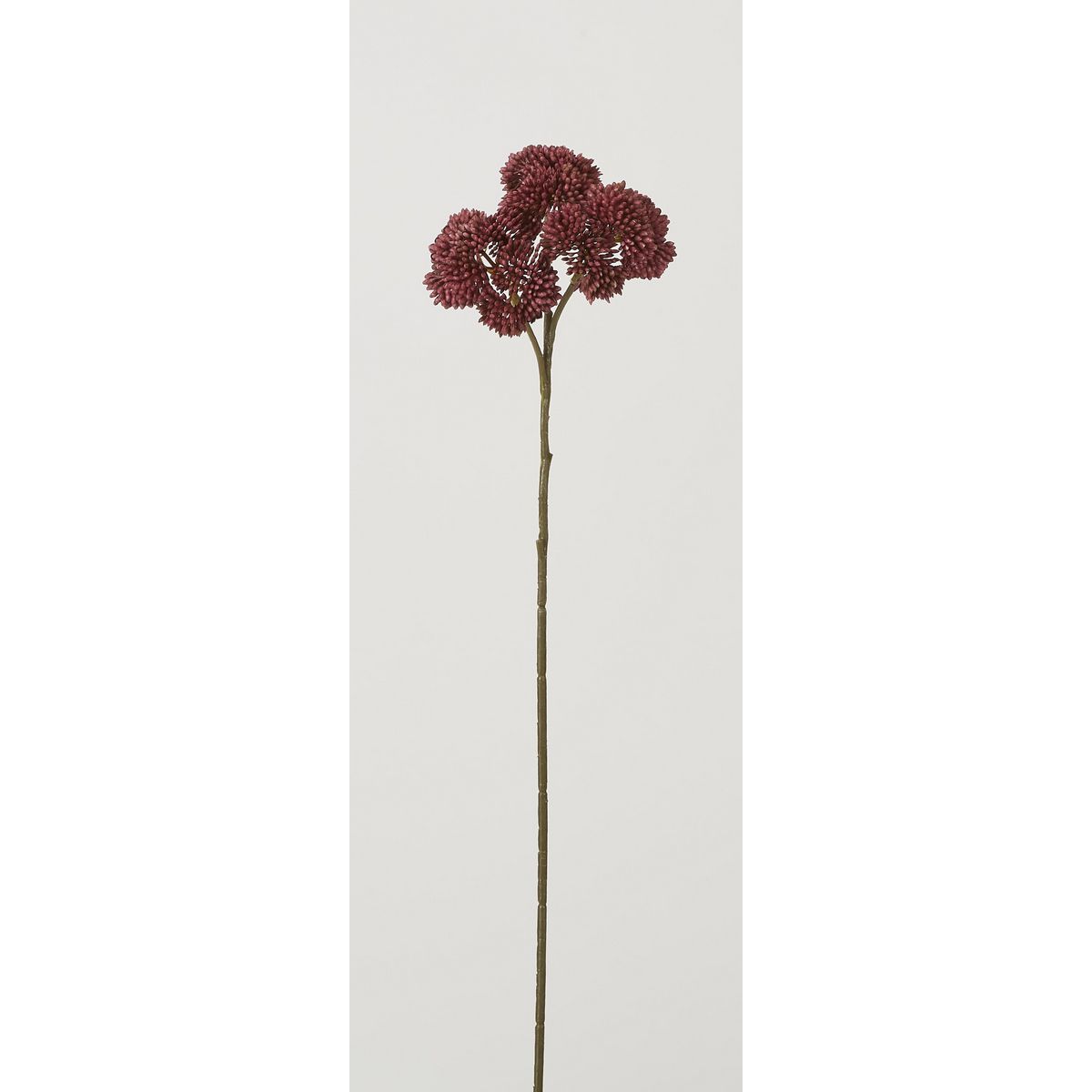特価◎【造花】ビダヤコム/ベンケイソウ ワイン/F5038-014WINE