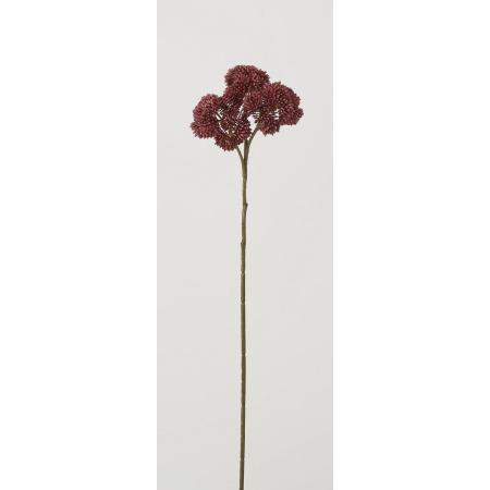 特価◎【造花】ビダヤコム/ベンケイソウ ワイン/F5038-014WINE