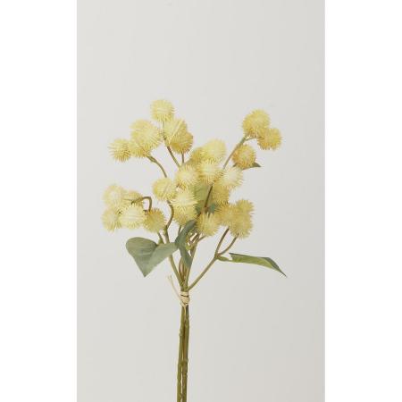 特価◎【造花】ビダヤコム/ドライポンポンバンドル(3本/束) クリーム/Z0143-037C