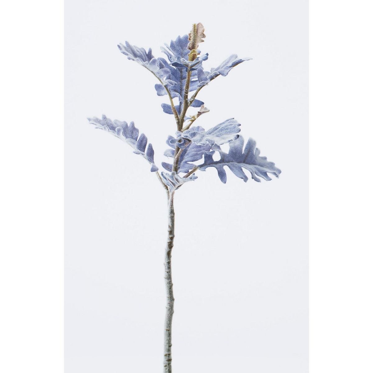 特価◎【造花】ビダヤコム/ダスティミラー グレイ/F3971-015GREY