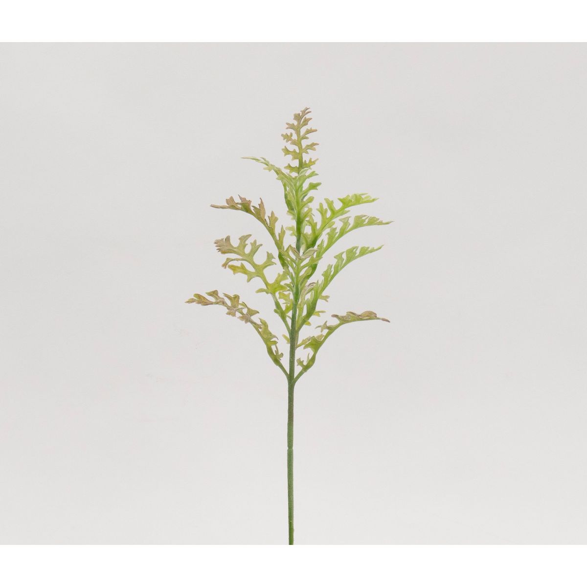 特価◎【造花】ビダヤコム/ダスティミラーピック グリーン/G7498-024G
