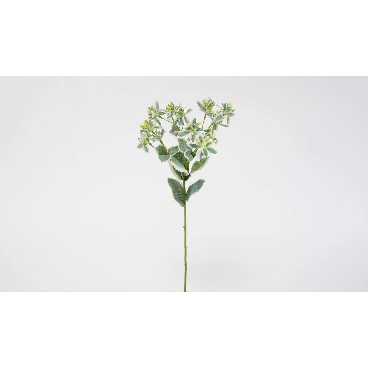 特価◎【造花】ビダヤコム/ユーフォルビア ライト/グリーン/V25051-023LT/G
