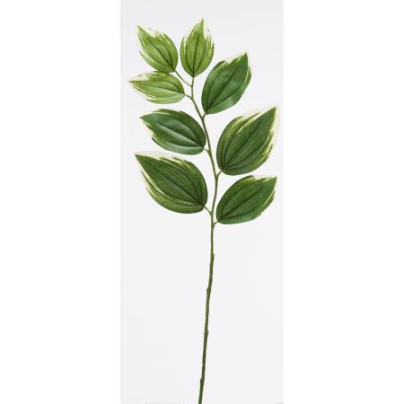 特価◎【造花】ビダヤコム/ナルコラン グリーン/クリーム/FD3181-172G/C