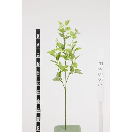 特価◎【造花】ビダヤコム/ホヤスプレー グリーン/ホワイト/F3656-185G/W