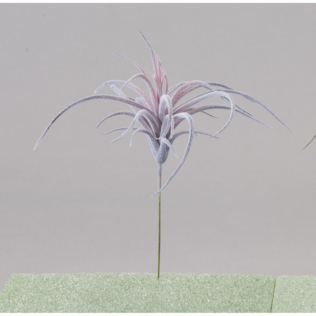 特価◎【造花】ビダヤコム/ティランジア レッド/FD3772-003R