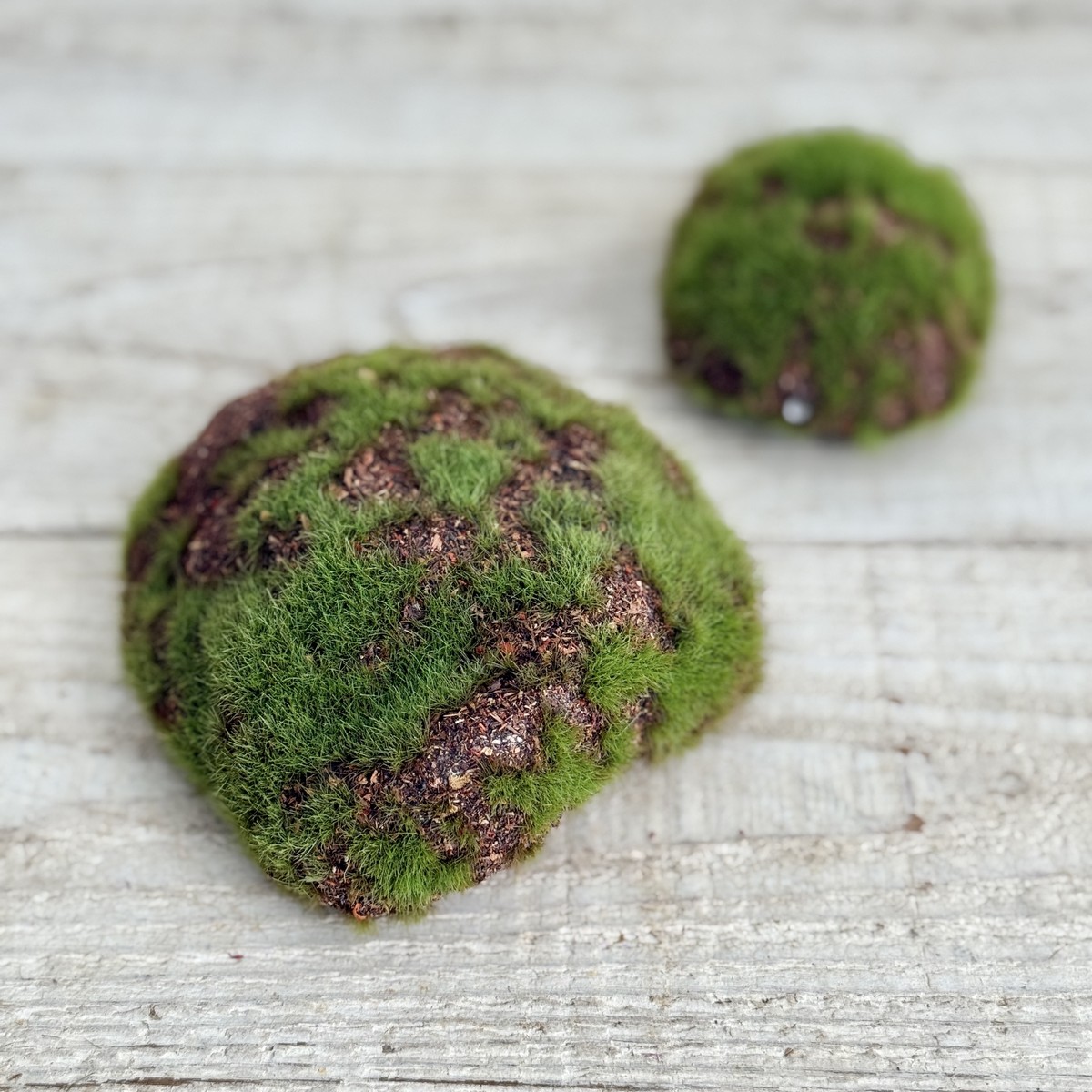 即日★【造花】ビダヤコム/アソートモスベースセット(大小アソート/袋) グリーン/FD3989-024G