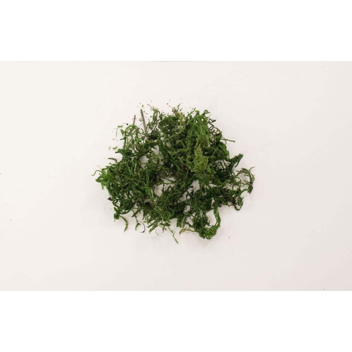 特価◎【造花】ビダヤコム/ドライモス グリーン/R1219-024G