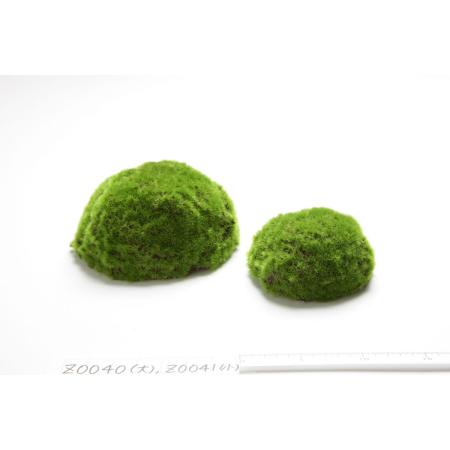 特価◎【造花】ビダヤコム/ハーフモスボール(大) グリーン/Z0040-024G