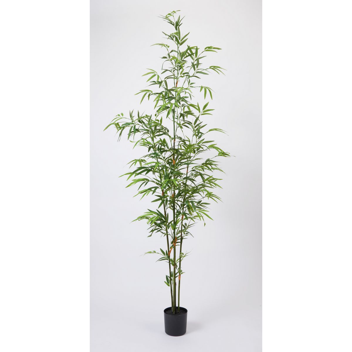 特価◎【直送】【人工観葉植物】ビダヤコム/バンブーポット グリーン/FD3626-024G ※返品・代引・キャンセル不可