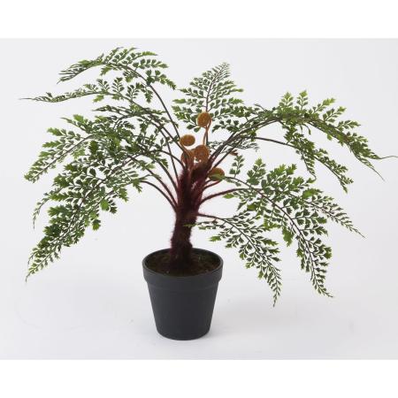 特価◎【人工観葉植物】ビダヤコム/アジアンタムポット グリーン/FD3702-024G