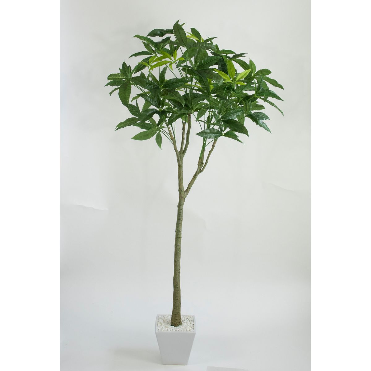 特価◎【直送】【人工観葉植物】ビダヤコム/パキラポット グリーン/V22106-024G ※返品・代引・キャンセル不可