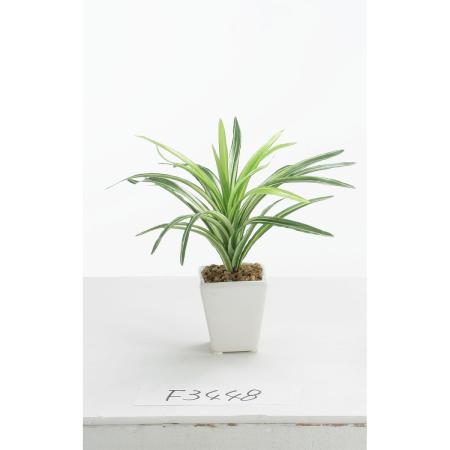 特価◎【人工観葉植物】ビダヤコム/ドラセナミニポット グリーン/ホワイト/F3448-185G/W