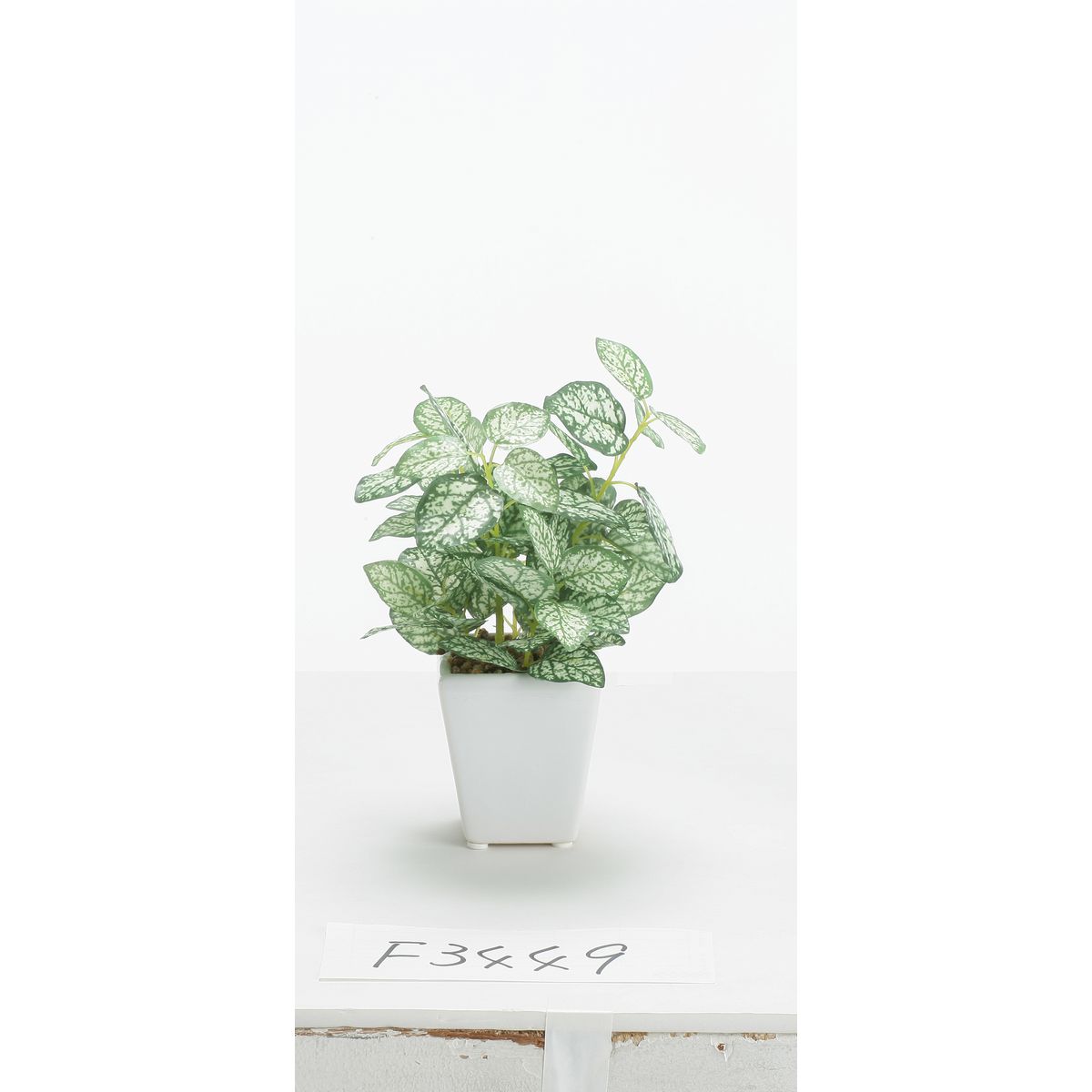 特価◎【人工観葉植物】ビダヤコム/ペペロミアポット グリーン/ホワイト/F3449-185G/W