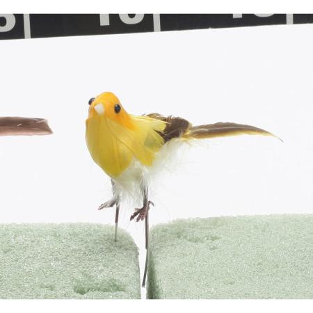 特価◎ビダヤコム/スモールバード イエロー/F3634-004Y