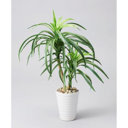 特価◎【人工観葉植物】ビダヤコム/ユッカポット グリーン/ホワイト/F4077-185G/W