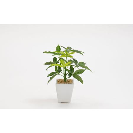 特価◎【人工観葉植物】ビダヤコム/ミニパキラポット グリーン/V23006-024G