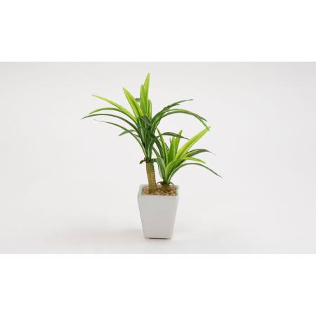 特価◎【人工観葉植物】ビダヤコム/ツインドラセナミニポット グリーン/V23007-024G