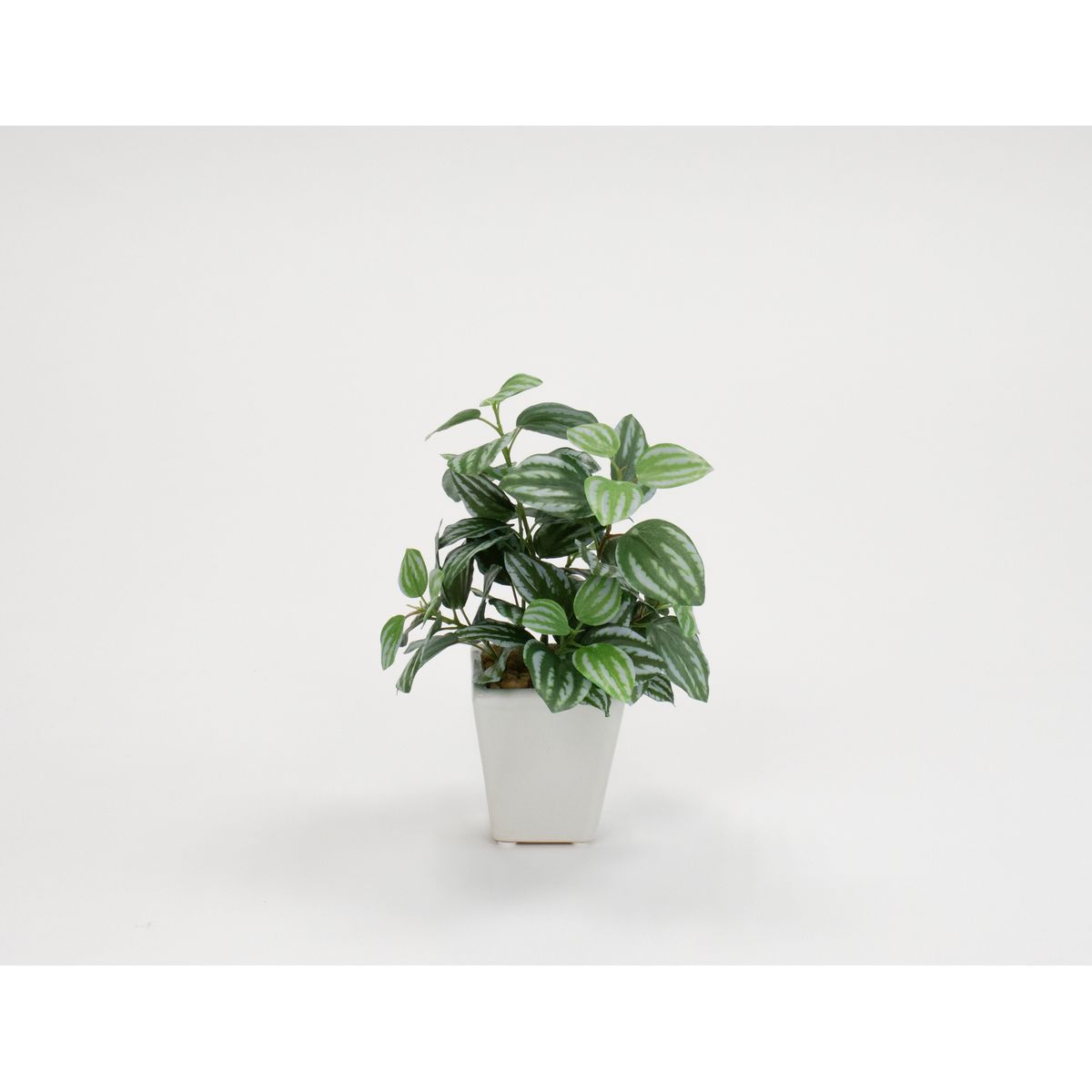 特価◎【人工観葉植物】ビダヤコム/ペペロミアアングラ―タポット グリーン/グレイ/V24033-175G/GREY
