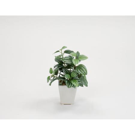 特価◎【人工観葉植物】ビダヤコム/ペペロミアアングラ—タポット グリーン/グレイ/V24033-175G/GREY