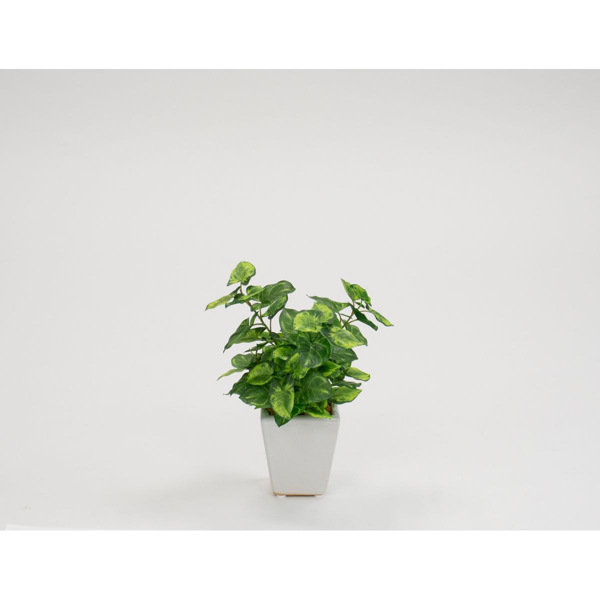 特価◎【人工観葉植物】ビダヤコム/シンゴニュームポット ツートン/グリーン/V24034-0822T/G