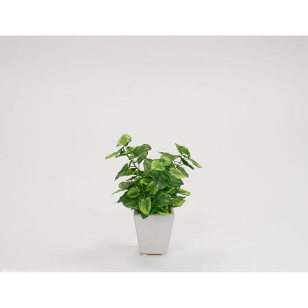特価◎【人工観葉植物】ビダヤコム/シンゴニュームポット ツートン/グリーン/V24034-0822T/G