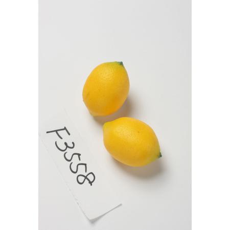 特価◎【造花】ビダヤコム/レモン イエロー/F3558-004Y
