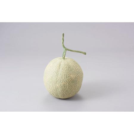 特価◎【造花】ビダヤコム/マスクメロン グリーン/T0266-024G