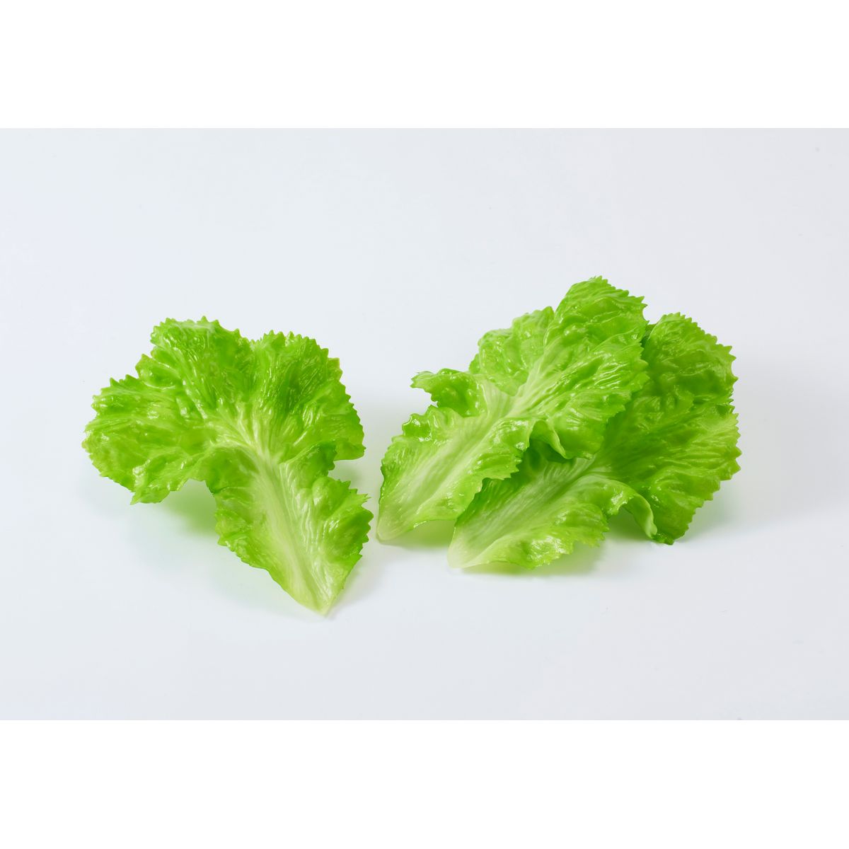 特価◎【造花】ビダヤコム/レタスリーフ(3枚入り) グリーン/F4134-024G