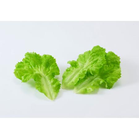 特価◎【造花】ビダヤコム/レタスリーフ(3枚入り) グリーン/F4134-024G