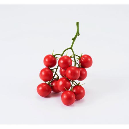 特価◎【造花】ビダヤコム/トマトクラスター レッド/FD3627-003R