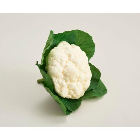 特価◎【造花】ビダヤコム/カリフラワー クリーム/T0279-037C
