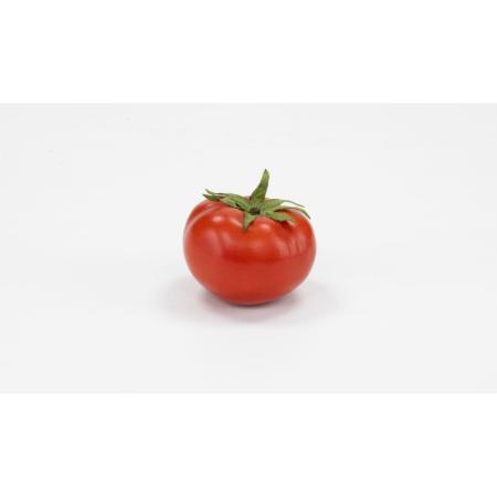 特価◎【造花】ビダヤコム/トマト レッド/V24132-003R