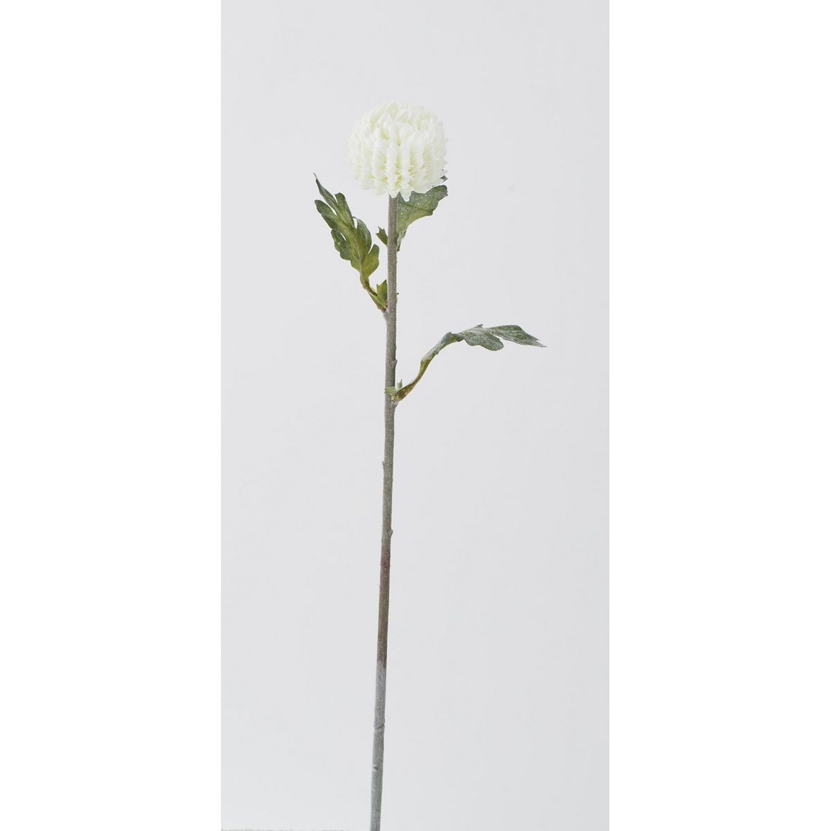 特価◎【造花】ビダヤコム/てまりマム ホワイト/F5014-001W